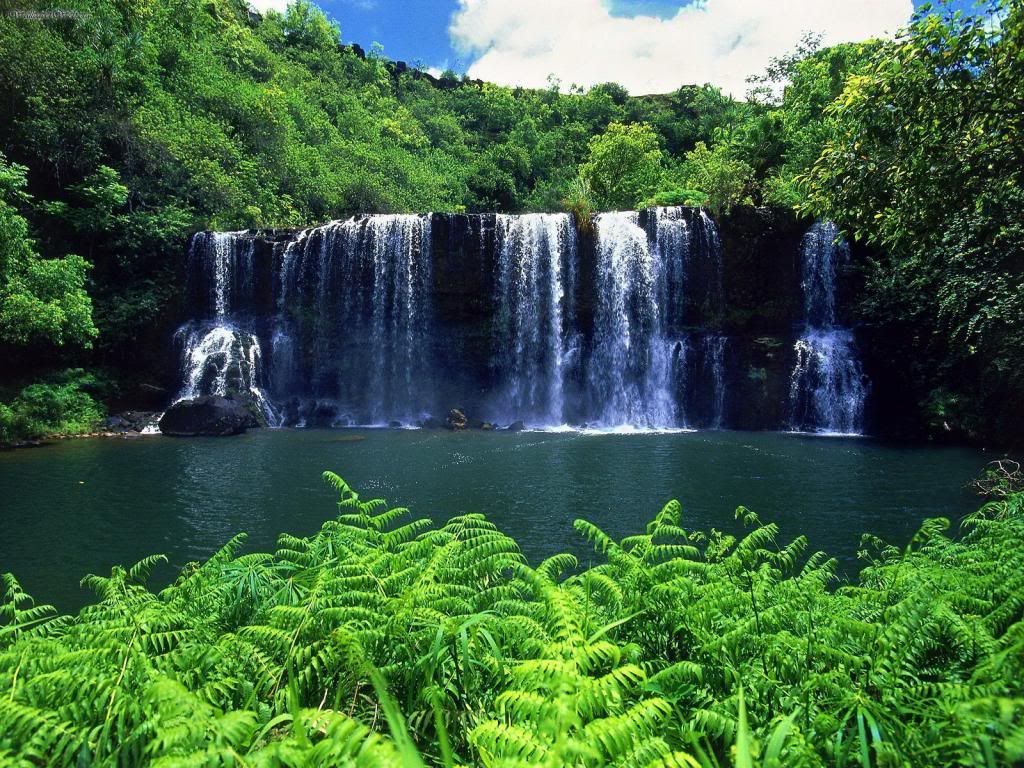 photo Kauai-Waterfalls-kauai-the-garden-island-15360348-1600-1200_zps36508bca.jpg