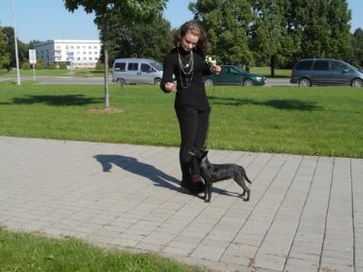 user posted image