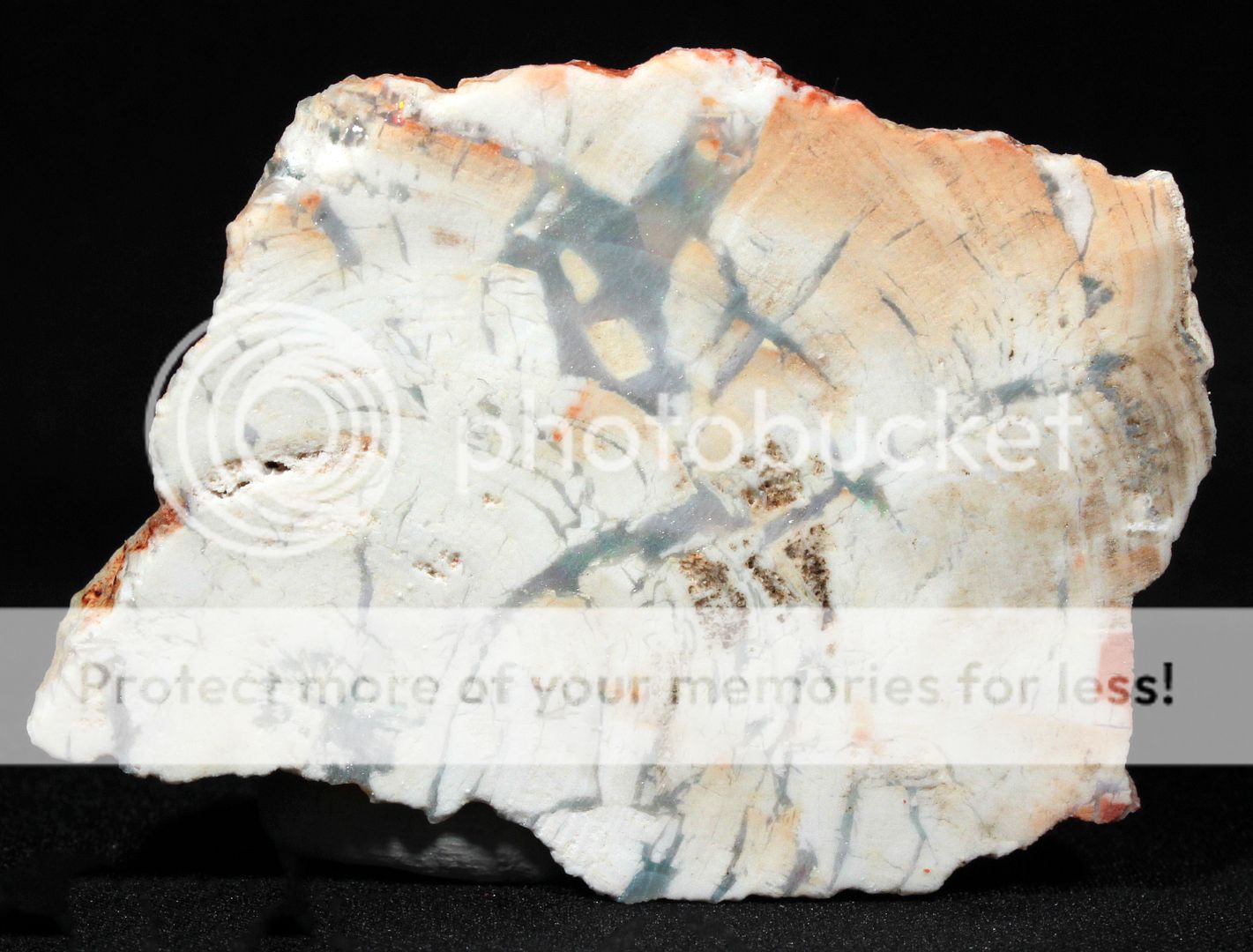  photo 3a_zpsmsvjpee5.jpg