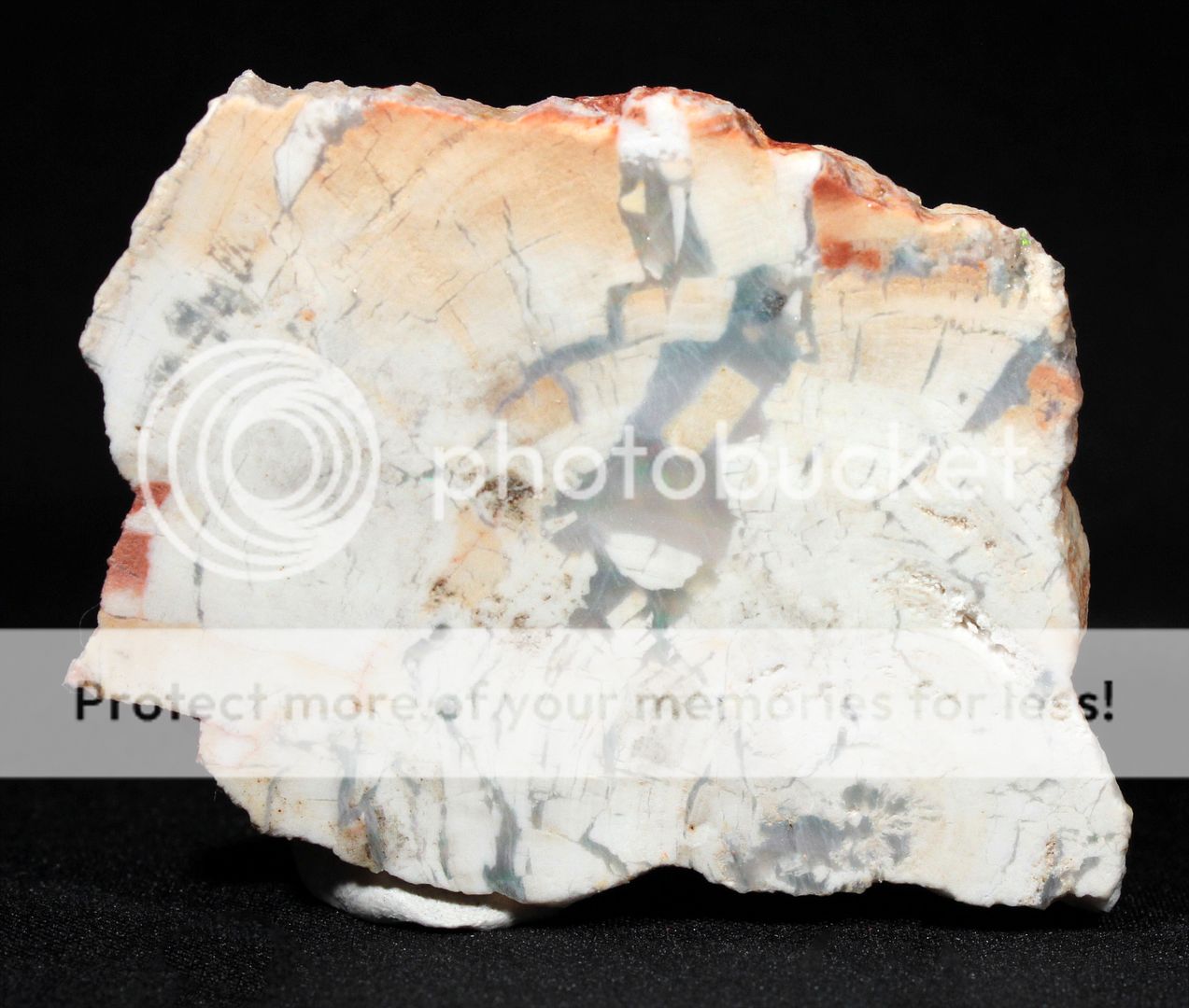  photo 3b_zpsuw5tkrir.jpg