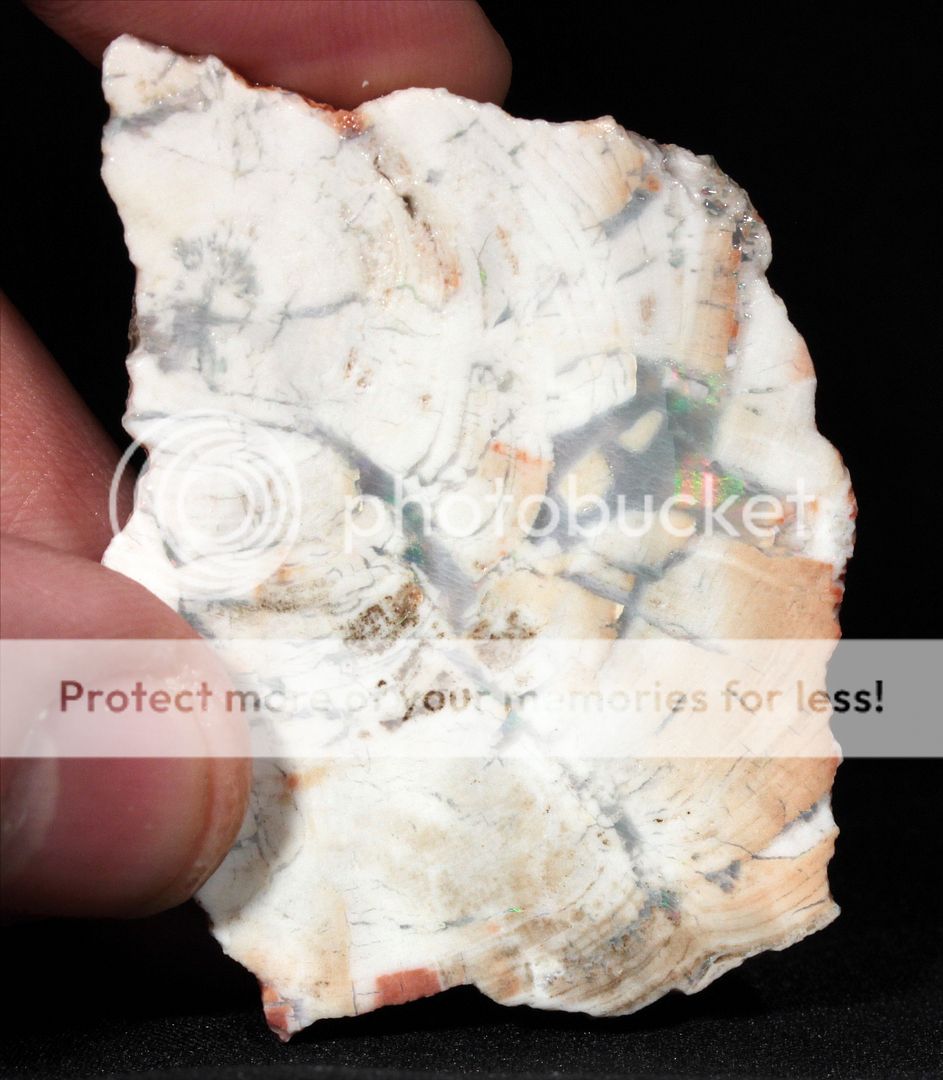  photo 3d_zpsn5ecggbs.jpg