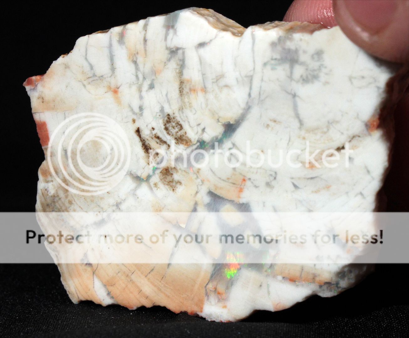  photo 3e_zpstju4z0sg.jpg