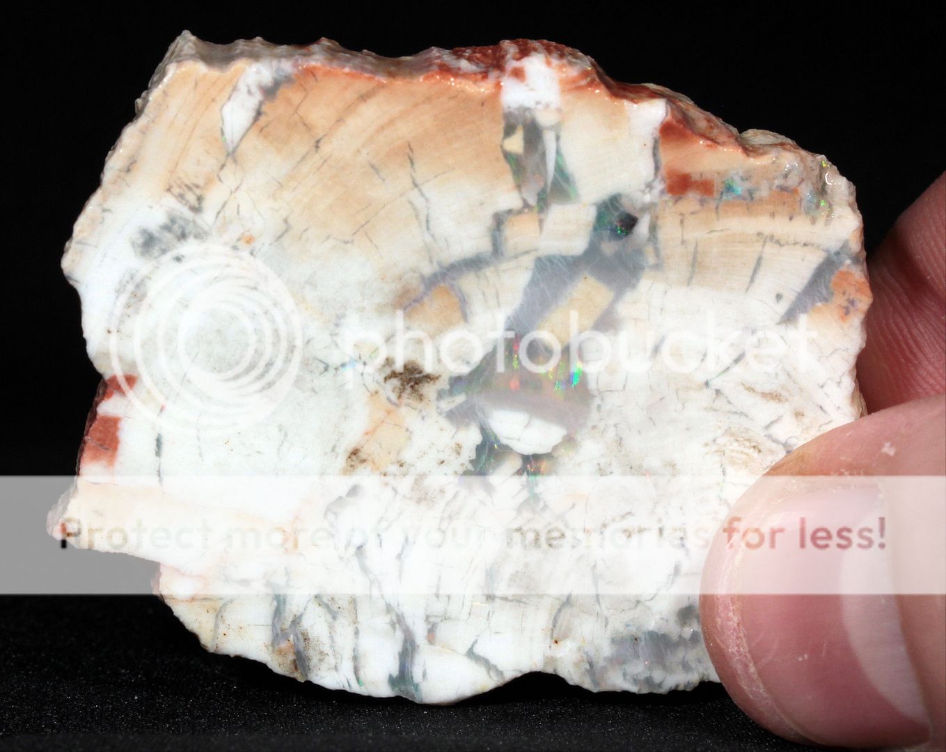  photo 3f_zpsoswkew1m.jpg