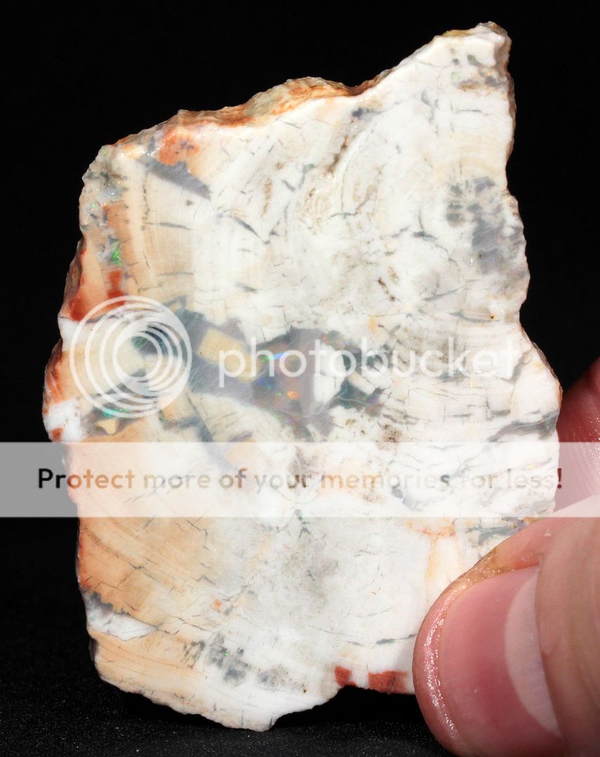  photo 3h_zpsy34hjwkz.jpg